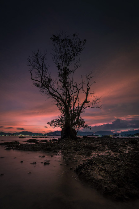 ภูเก็ต พังงา