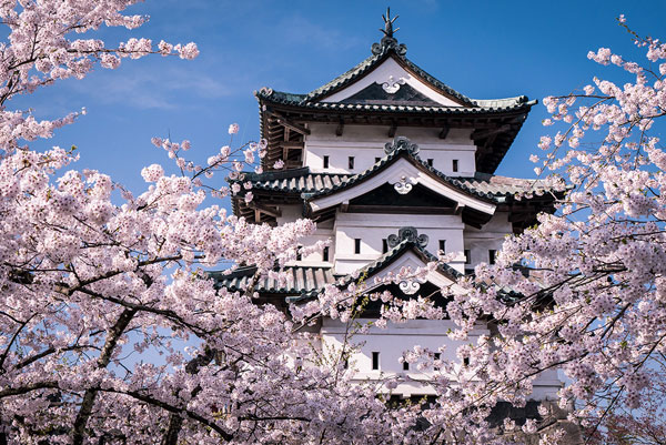 monthly japan 