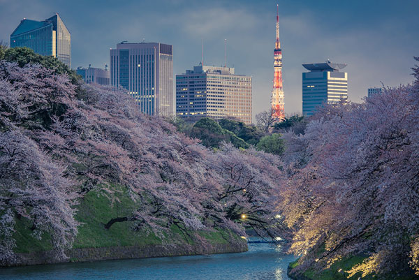 monthly japan 