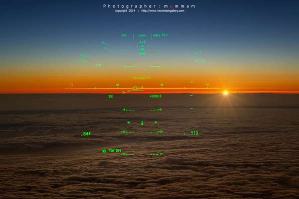 สัตว์บินได้