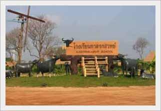 กิจกรรมท่องเที่ยวในวันแม่