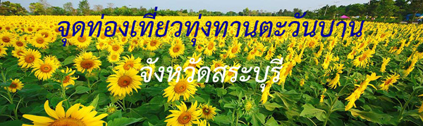 ทุ่งทานตะวัน
