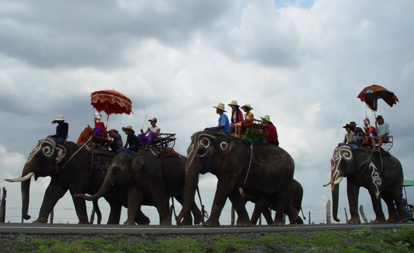 ประเพณีบวชนาคช้าง
