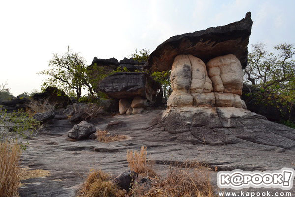 ภูผาเทิบ