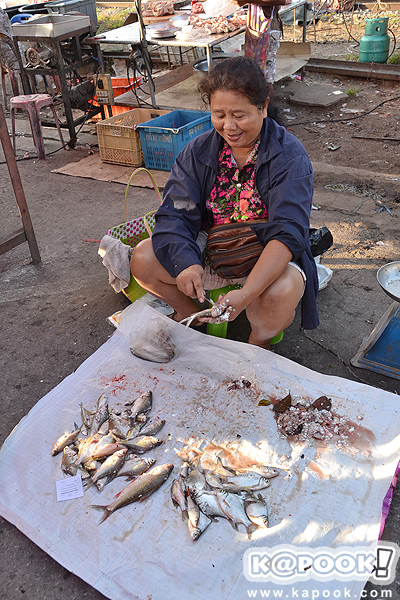 ตลาดจันดี