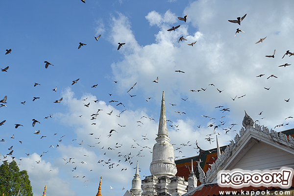 ชะอวด ทุ่งสง นครศรีธรรมราช