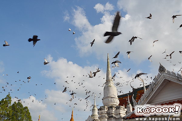 ชะอวด ทุ่งสง นครศรีธรรมราช
