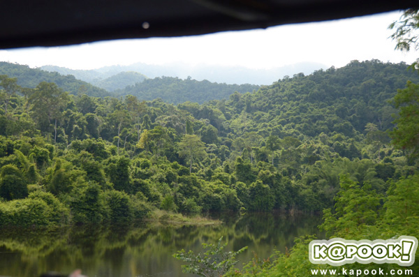 เขาพะเนินทุ่ง เพชรบุรี 