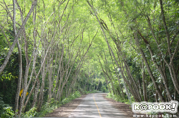 เขาพะเนินทุ่ง เพชรบุรี 