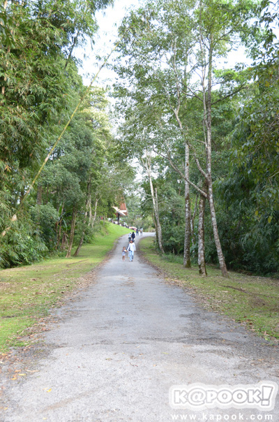 เขาพะเนินทุ่ง เพชรบุรี 