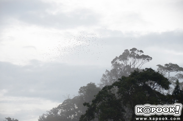 เขาพะเนินทุ่ง เพชรบุรี 