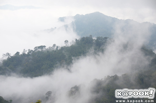 เขาพะเนินทุ่ง เพชรบุรี