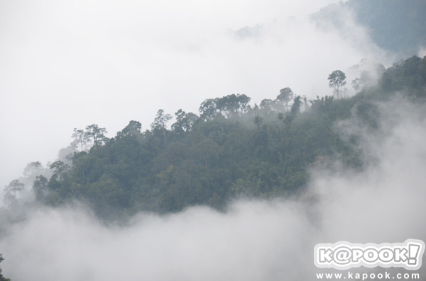 เขาพะเนินทุ่ง เพชรบุรี