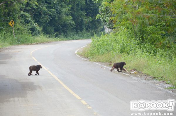 เขาพะเนินทุ่ง เพชรบุรี