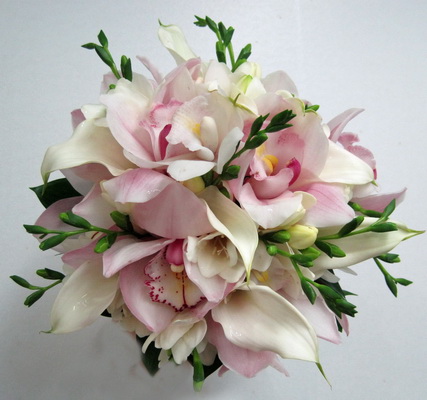 ดอกฟรีเซีย กล้วยไม้ และไฮเดรนเยีย