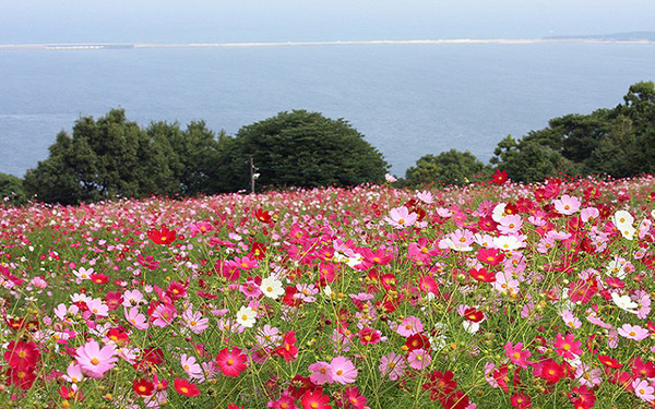 Gumma,japan
