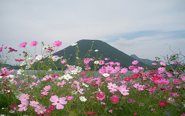 Gumma,japan
