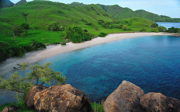 เกาะโคโมโด เกาะโคโมโด