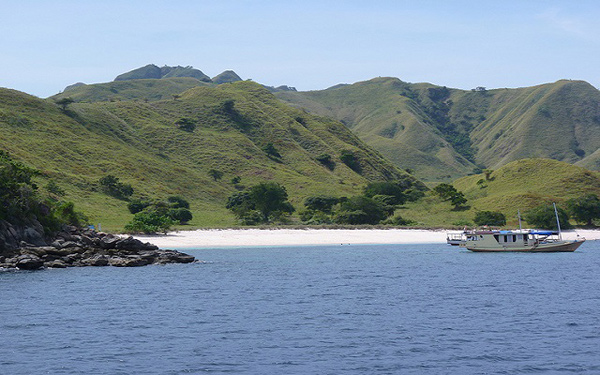 เกาะโคโมโด เกาะโคโมโด