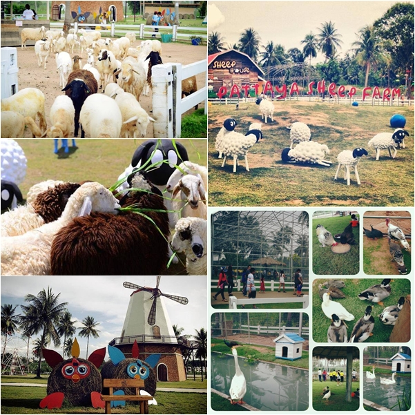 9 สถานที่ท่องเที่ยว พัทยา