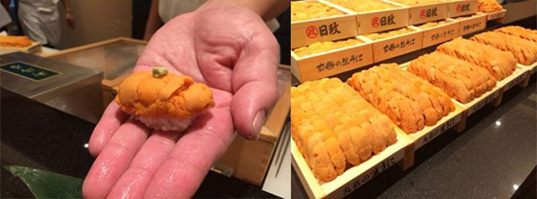 Sushi Kanda