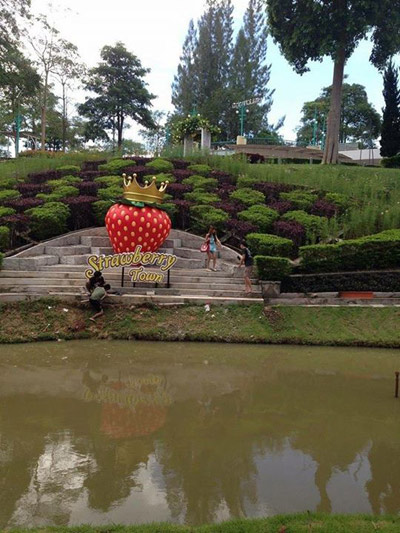 สตรอว์เบอร์รี ทาวน์ (Strawberry Town)