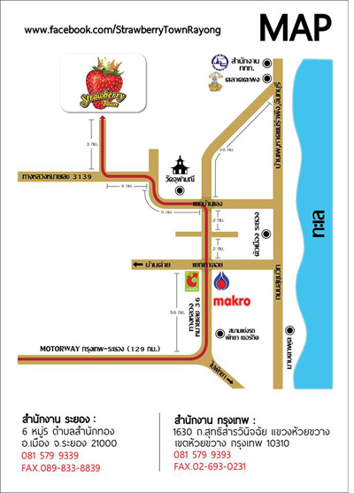  สตรอว์เบอร์รี ทาวน์ (Strawberry Town)