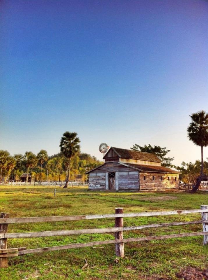 Small Farm Chiang Mai