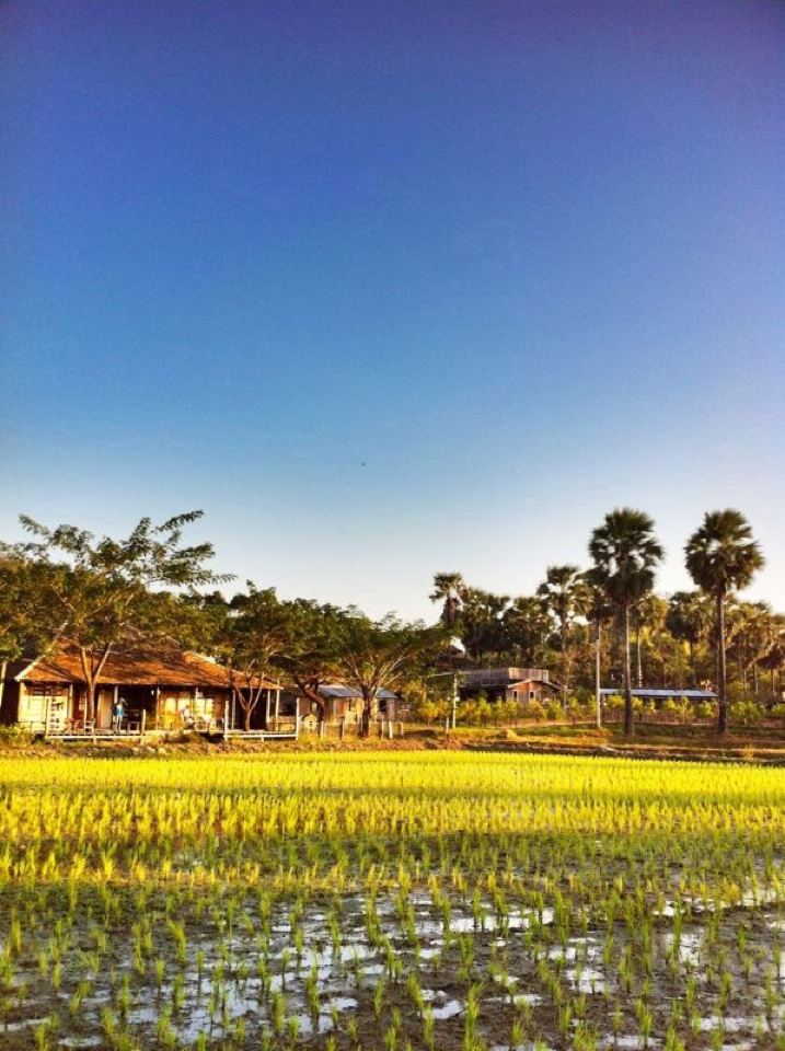 Small Farm Chiang Mai