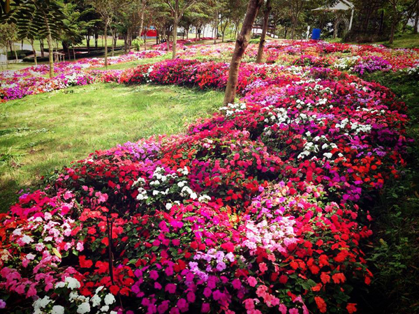 Florapark Wangnamkeaw 