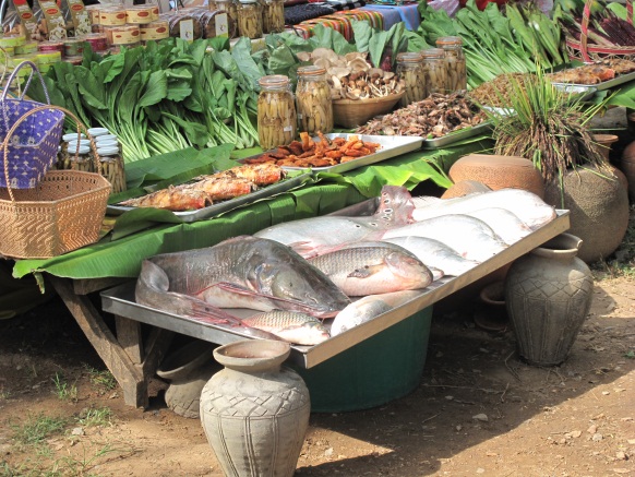 กินปลา กินเห็ด อาหารรสเด็ด อำเภอด่านช้าง ครั้งที่ 11