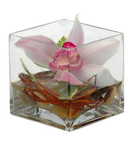 กล้วยไม้