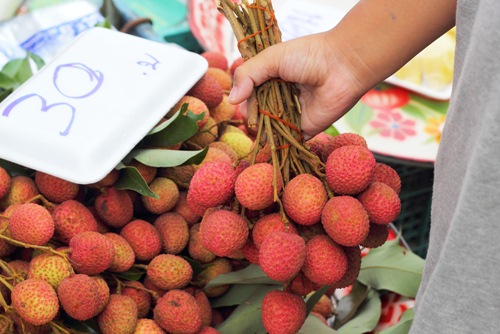 ลิ้นจี่