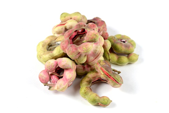 มะขามเทศ