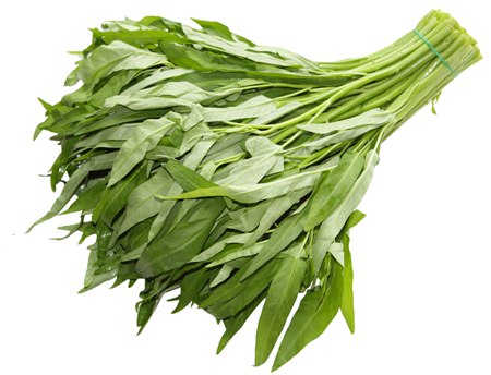 ผักบุ้ง