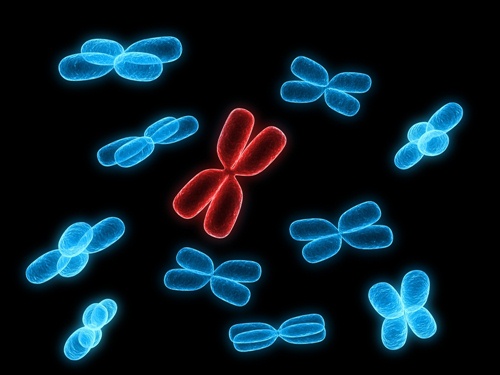 โรคทางพันธุกรรม