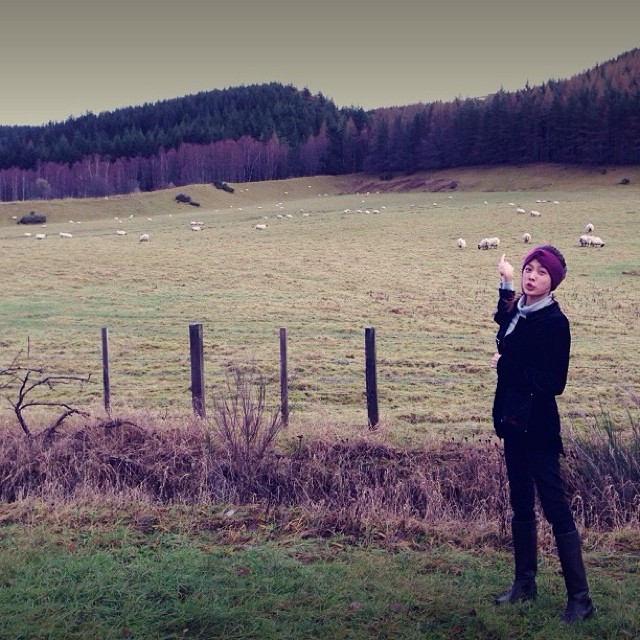 แพทตี้ แดน