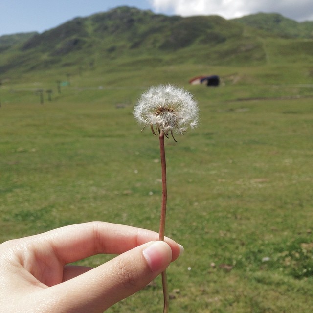 มาร์กี้ ราศรี