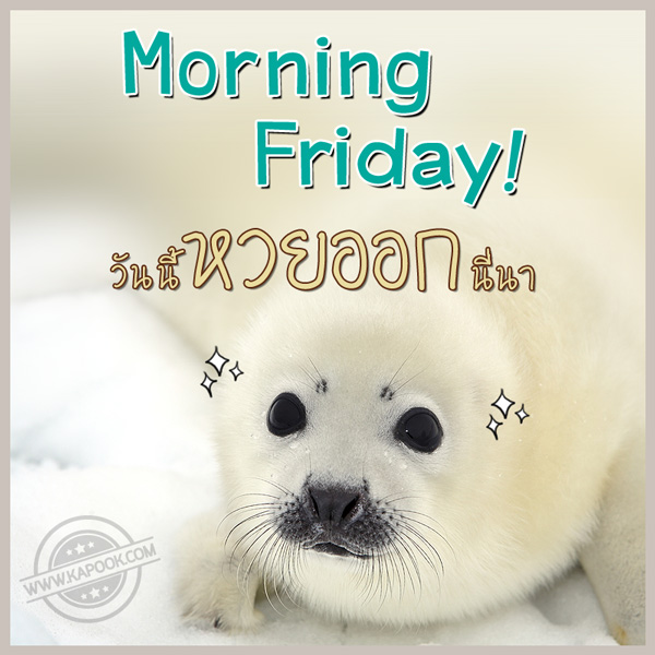 ดวงรายวัน วันที่ 16 พฤษภาคม 2557