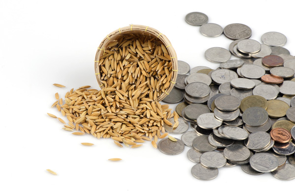 ยอดส่งออกข้าวไทยปี 2556 รั้งอันดับ 3 2 ปีติด