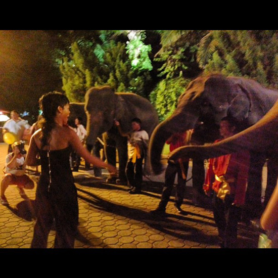 ริฮานน่า มาเมืองไทย