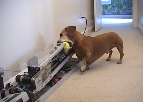 เครื่องยิงลูกบอล