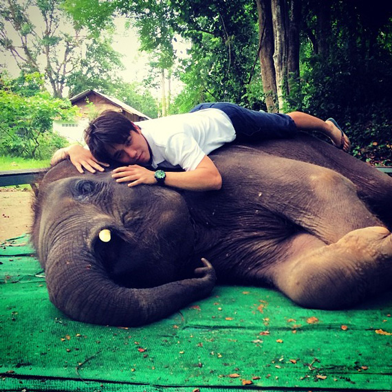 อเล็กซ์ เรนเดลล์