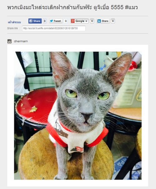 พลอย เฌอมาลย์