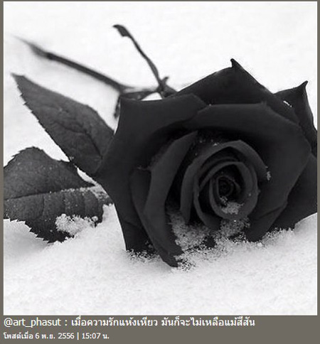 น้ำฝน อาร์ต