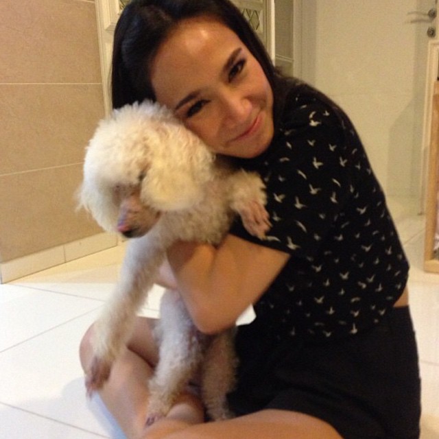 อั้ม พัชราภา สร้าง ig ช่วยเหลือหมาแมว