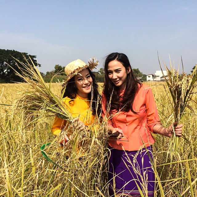 อั้ม แอมป์ ควงคู่ไปเปิดงานลงแขกเกี่ยวข้าวของ เอ ศุภชัย