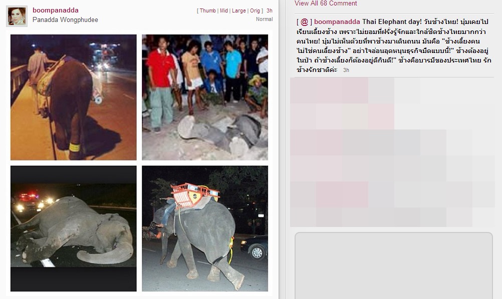 บุ๋ม ปนัดดา วันช้างไทย