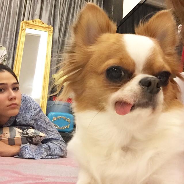 ชมพู่ อารยา กับน้องหมาชิวาวา