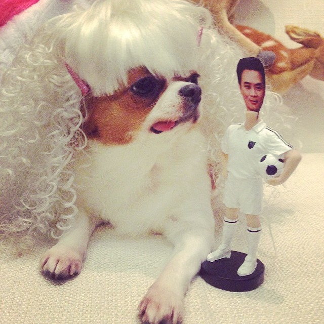 ชมพู่ อารยา กับน้องหมาชิวาวา